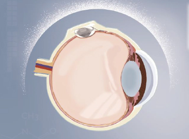 15vip太阳集团(中国)股份有限公司-suncitygroup