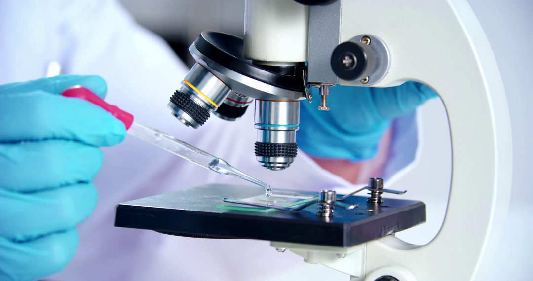 15vip太阳集团(中国)股份有限公司-suncitygroup